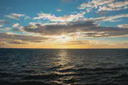 featured-sample-2.webp